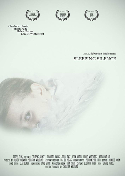 Sleeping Silence (2017) poster
