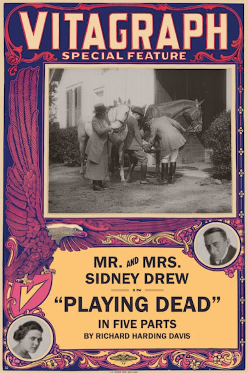 Playing Dead (1915) poster