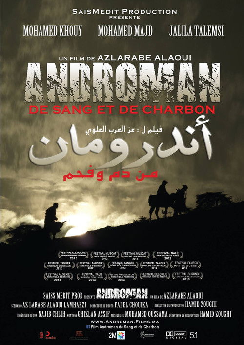 Androman - De sang et de charbon (2012) poster