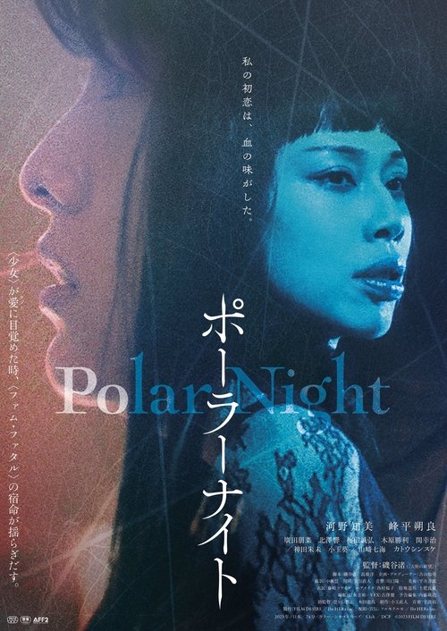 Polar Night (2023) poster
