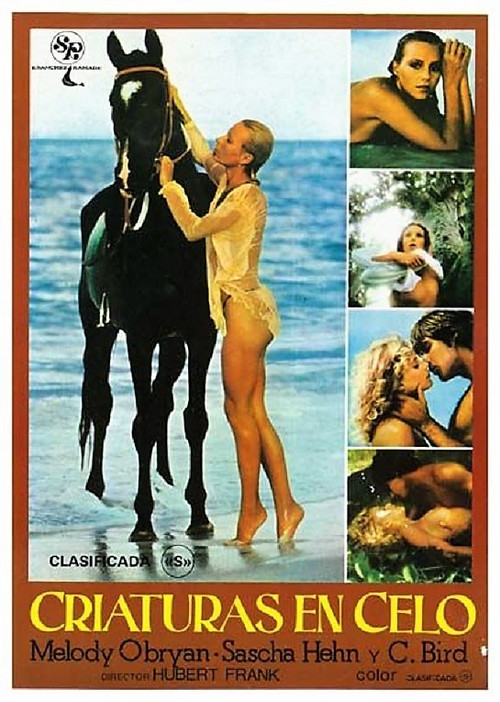 Melody in Love (1978) poster