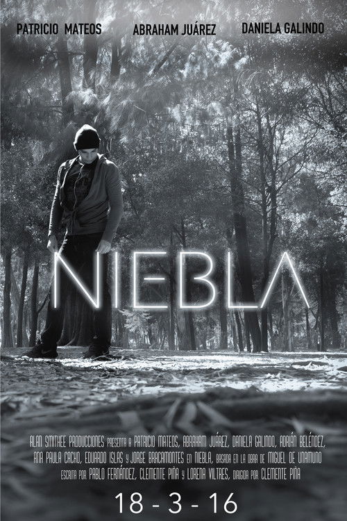 Niebla (2016) poster