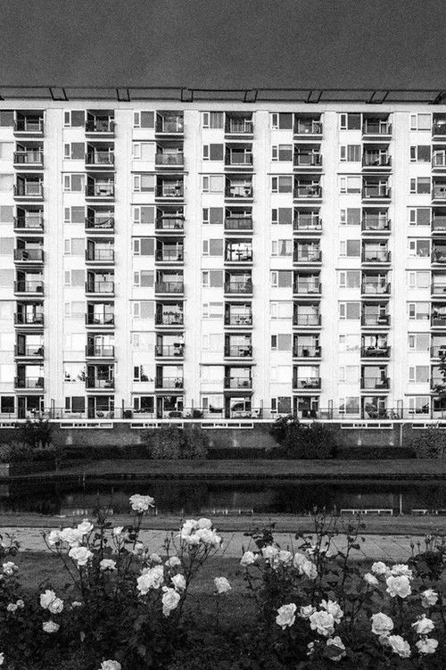 Berichten uit de Hunkerbunker (2024) poster