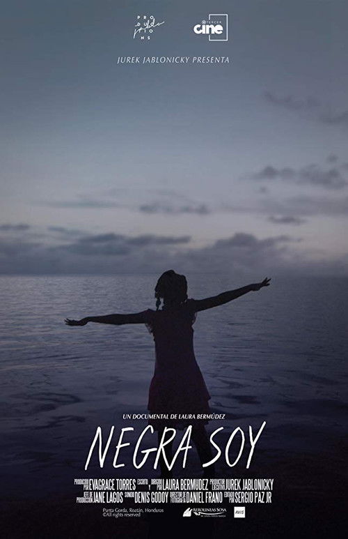 Black I Am (2020) poster