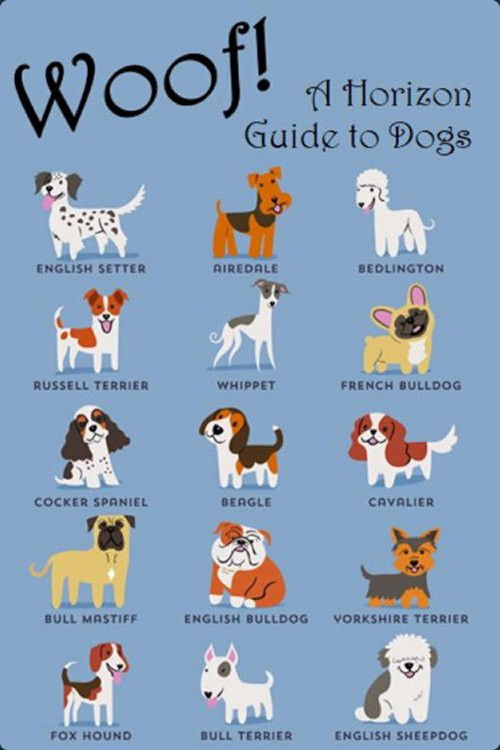 Woof! A Horizon Guide to Dogs (2012) poster