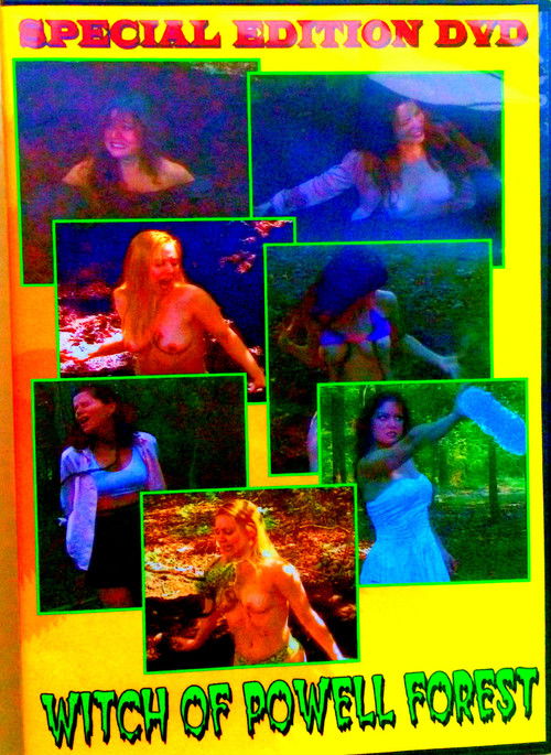 Witch Of Powell Forest (2001) poster