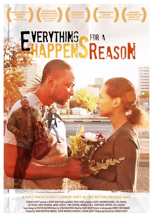 Everything Happens for a Reason (2013) poster