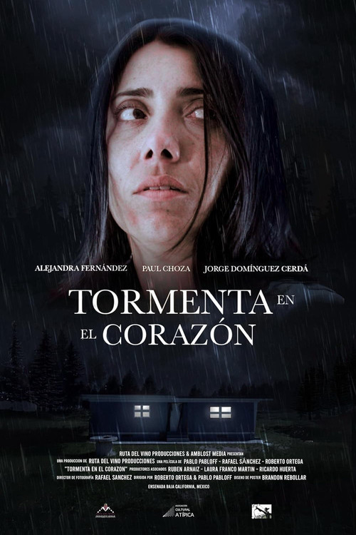 Tormenta en el corazón (2024) poster