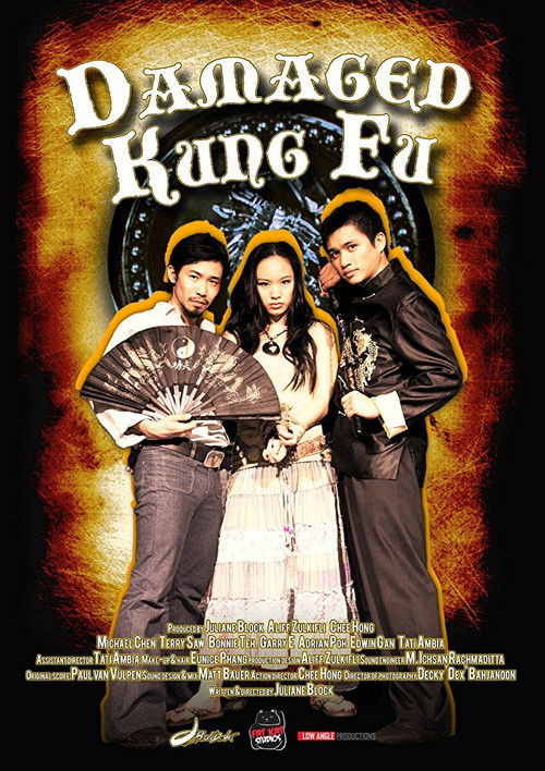 Damaged Kung Fu (2011) poster