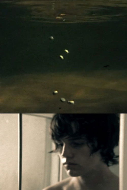 Postmortem Bliss (2006) poster