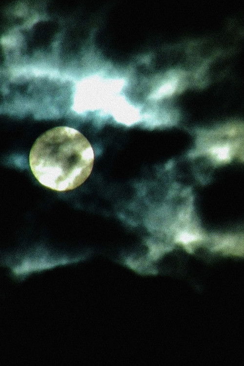 Vampires Drink Blood... I Drink Sorrow (2021) poster