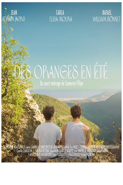 Oranges in Summer (2024) poster
