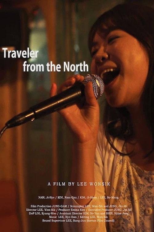 Traveler from the North (2013) poster