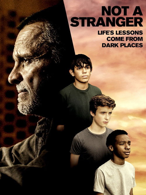 Not a Stranger (2018) poster