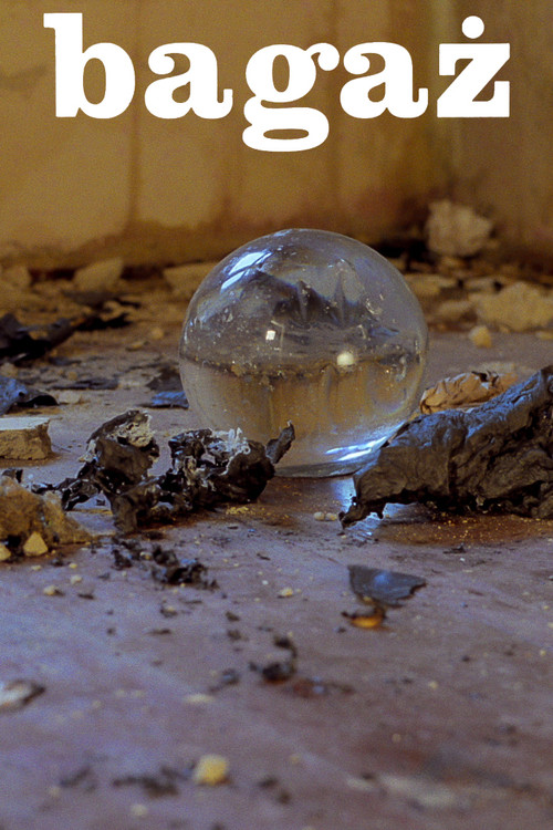 Baggage (1979) poster