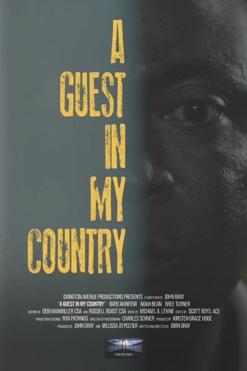 A Guest in My Country (2024) poster