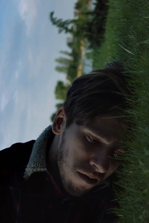 Warm Comedy about Depression, Madness and Unfulfilled Dreams (2018) poster