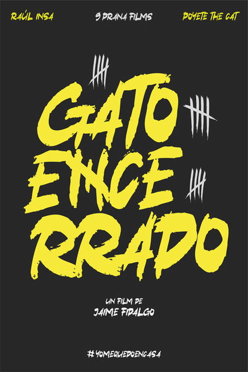 Trapped Cat (2020) poster