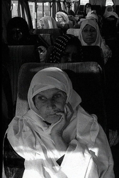 Visiting Hours (2017) poster