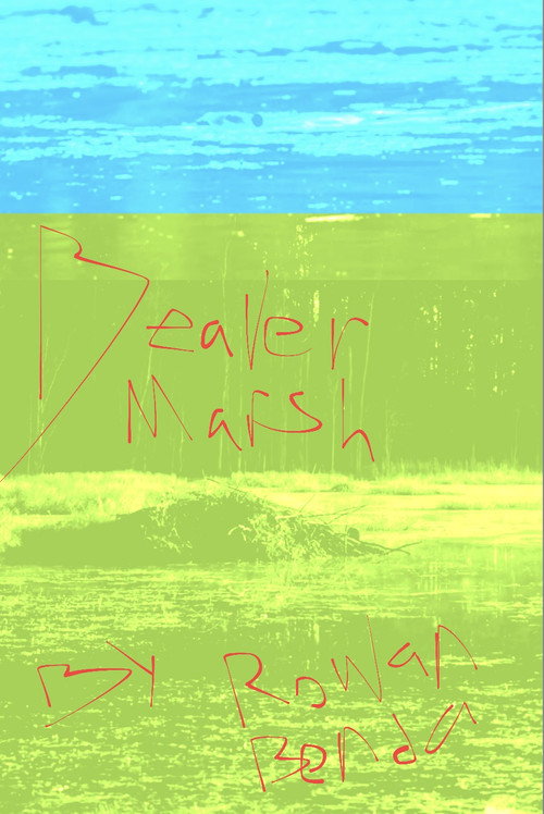 Beaver Marsh (2025) poster