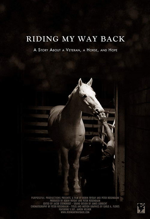 Riding My Way Back (2014) poster