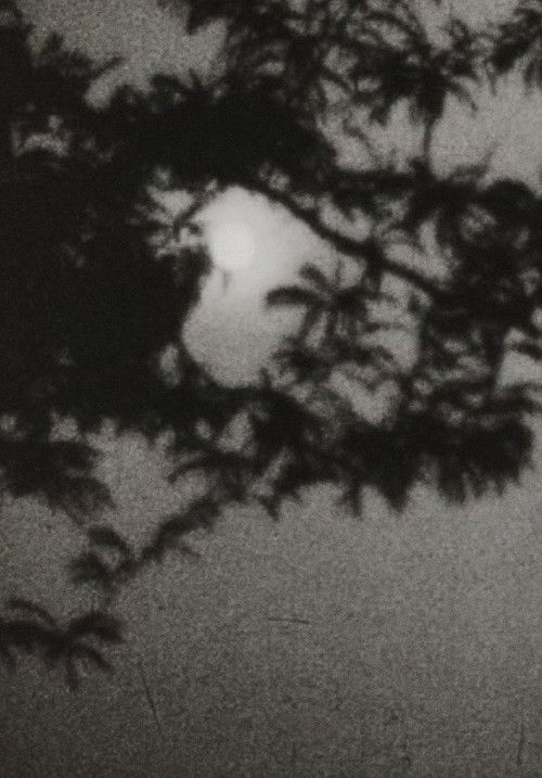 Moonplay (1962) poster