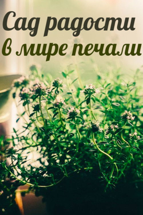 Сад радости в мире печали (2011) poster