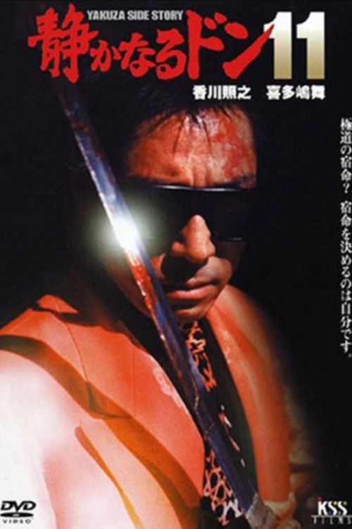 Quiet Don 11 (2000) poster