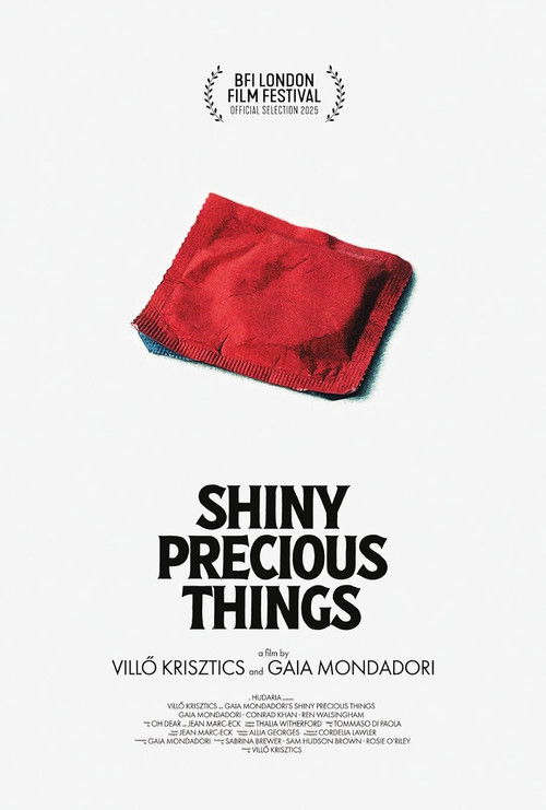 Shiny Precious Things (2025) poster