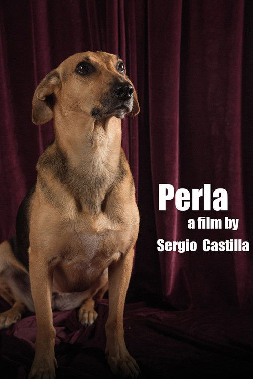 Perla (2015) poster