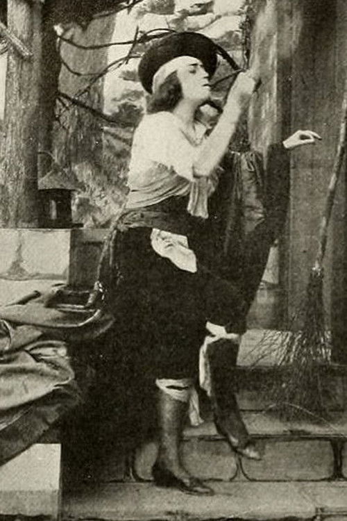 A Sister to Carmen (1913) poster