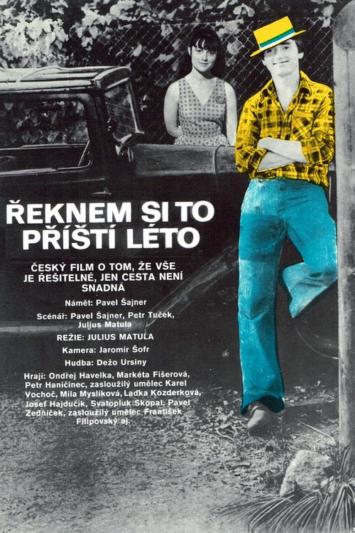 Řeknem si to příští léto (1978) poster
