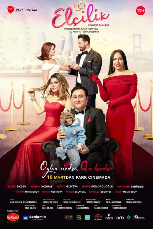 Görücü (2024) poster