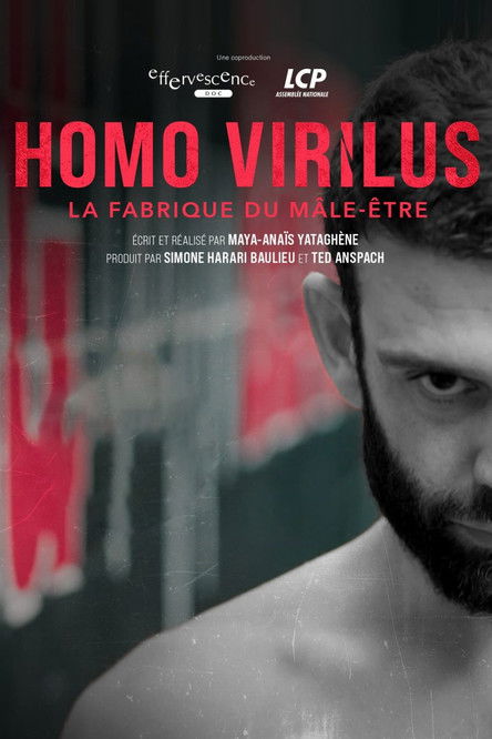 Homo virilus : la fabrique du mâle-être (2025) poster