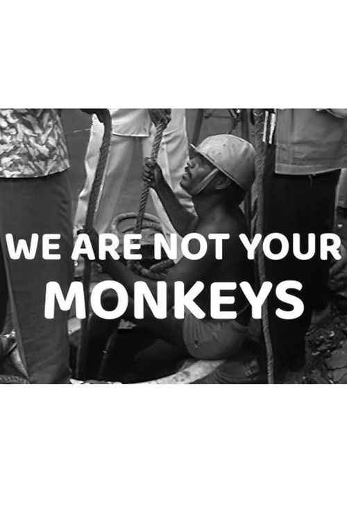 We Are Not Your Monkeys (1996) poster