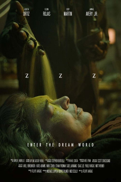 ZZZ (2024) poster