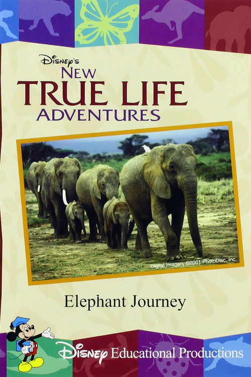 Elephant Journey (2000) poster