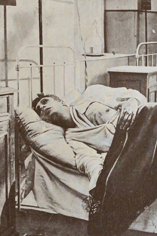 Poor Man Died in a Military Hospital (1916) poster