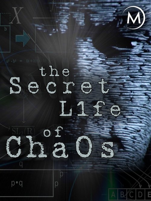 The Secret Life of Chaos (2010) poster