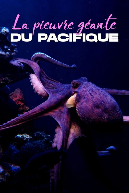 Rendezvous mit Riesenkraken - Die Geschichte von Ellie (2021) poster