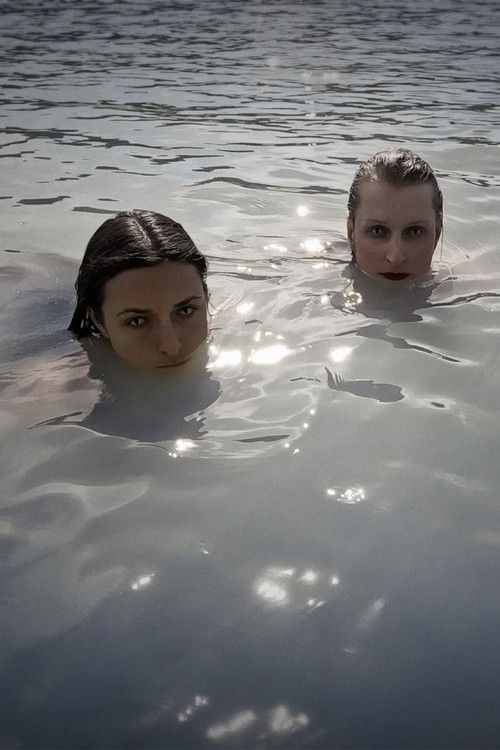 Gay by Nature (2026) poster