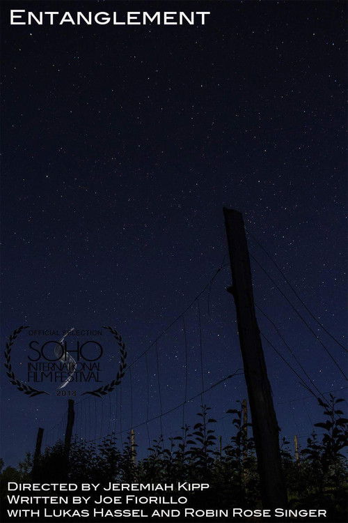 Entanglement (2018) poster