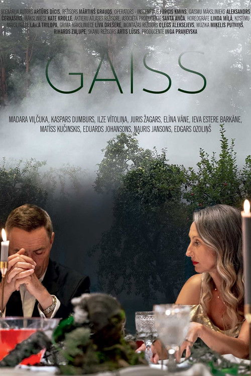 Gaiss (2024) poster