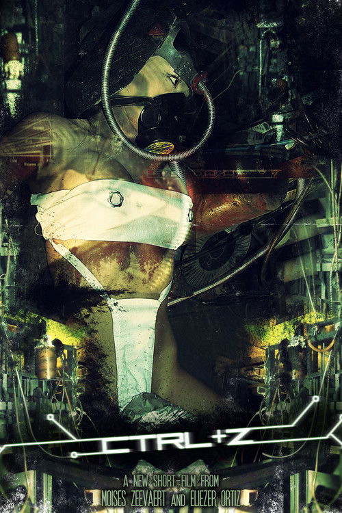CTRL + Z (2009) poster