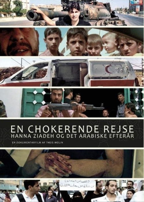 Crossing the Line (2013) poster