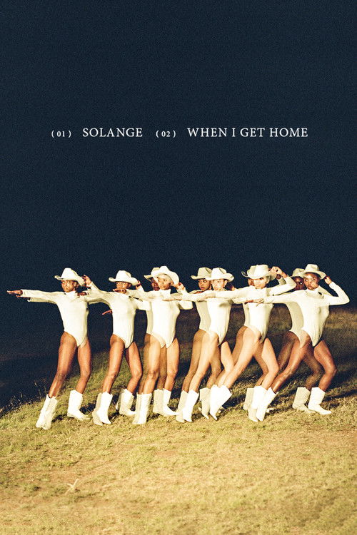 Solange: When I Get Home (2019) poster