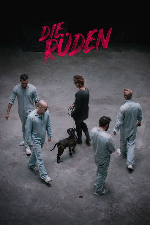 Die Rüden (2020) poster