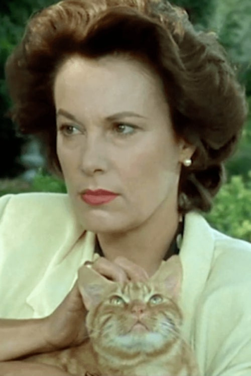 Velvet Paws (1987) poster