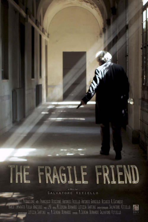 The Fragile Friend (2018) poster