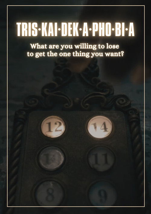 Triskaidekaphobia (2024) poster